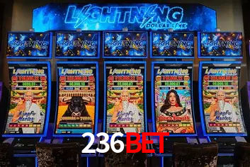 A Experiência Imersiva dos Cassinos Ao Vivo no 236bet