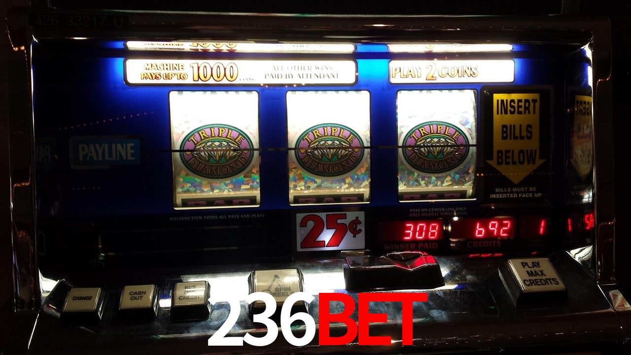 Sports Statistics 236BET